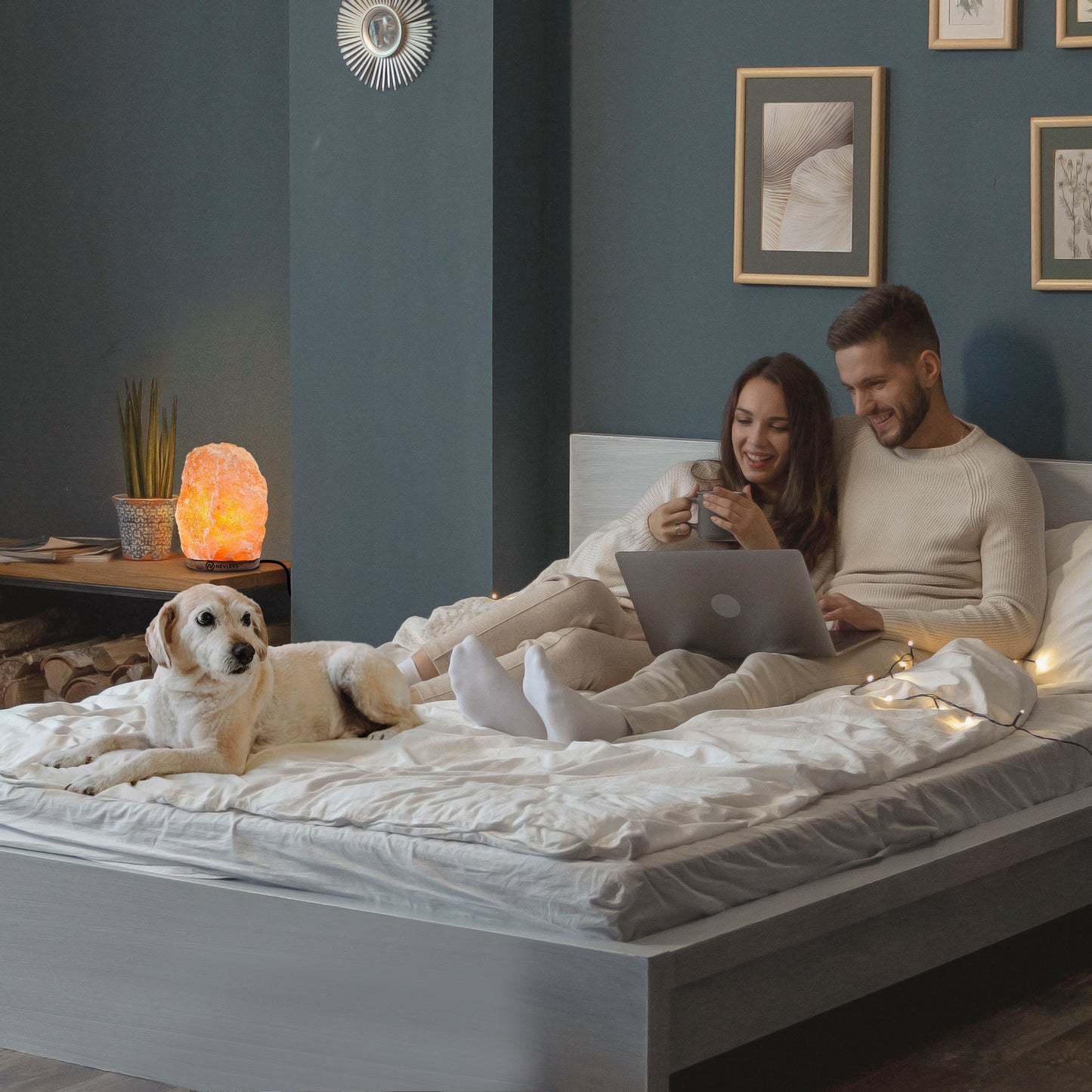 Himalayan Salt Lamp With Dimmer | Natural Shape - 3 Pack