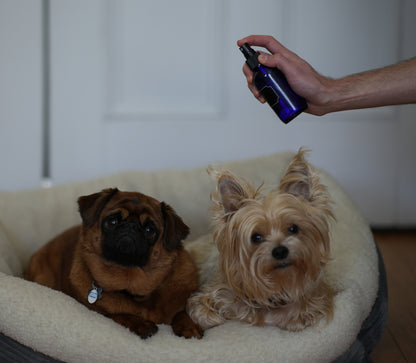 Cobalt Blue Glass Spray Bottles