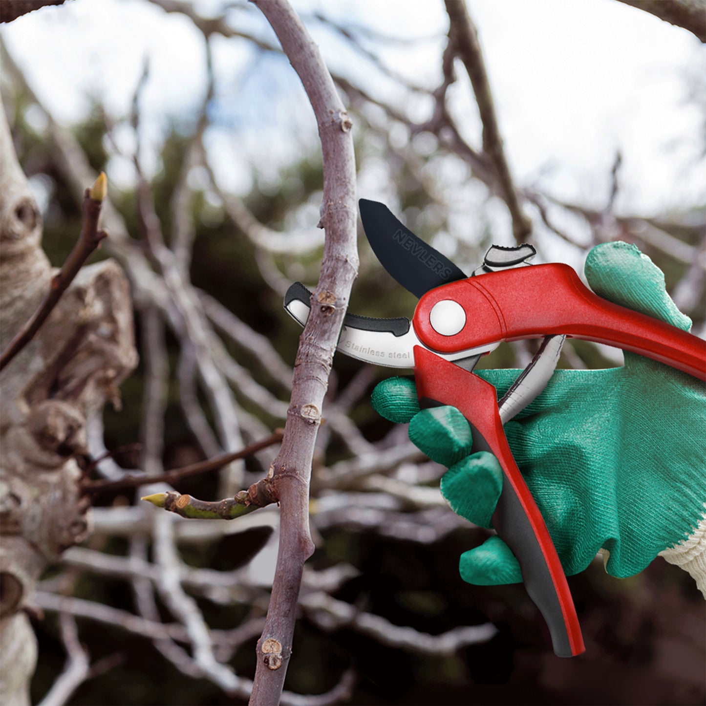 Garden Pruning Shears - Anvil