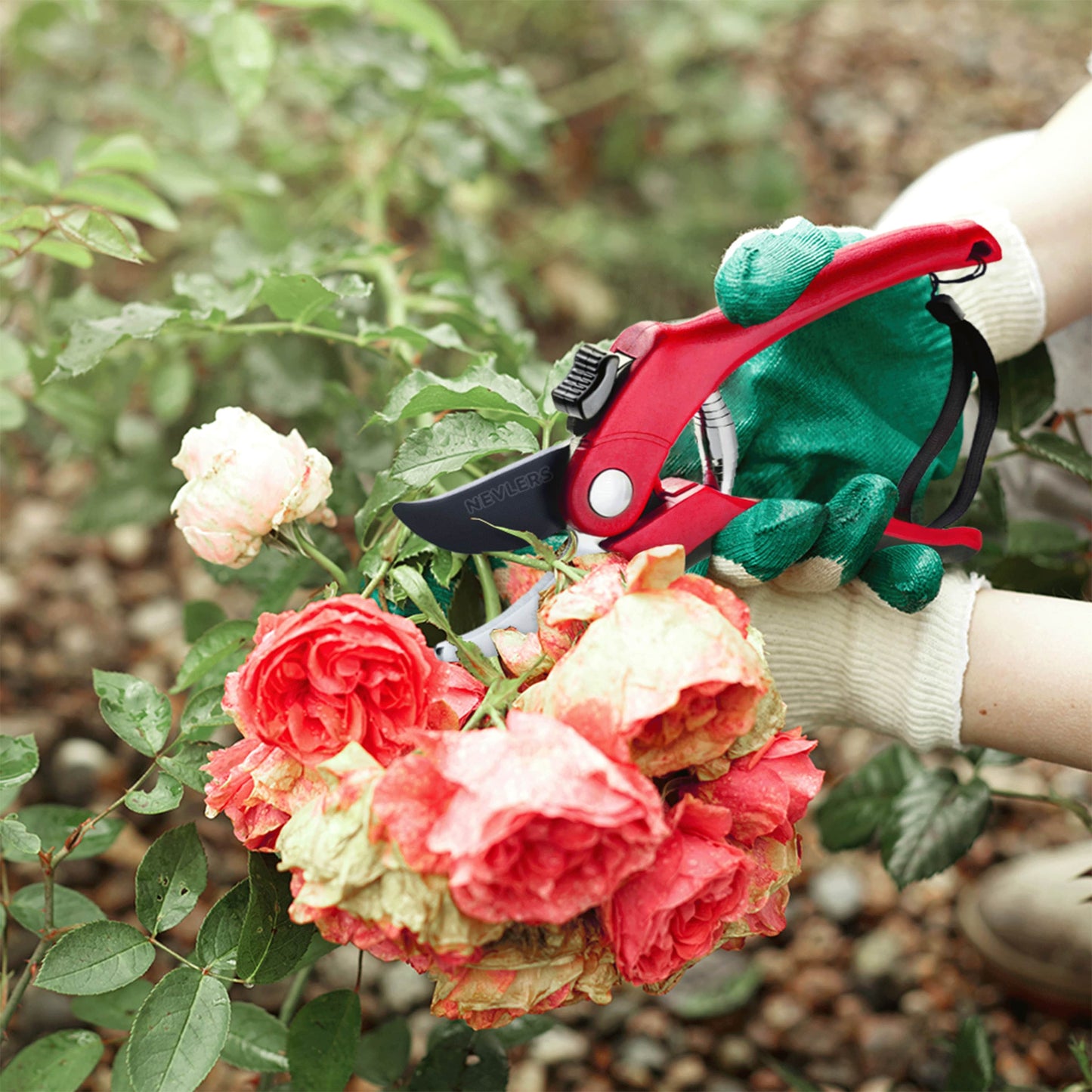 Garden Pruning Shears - Bypass