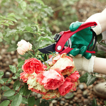 Garden Pruning Shears - Bypass