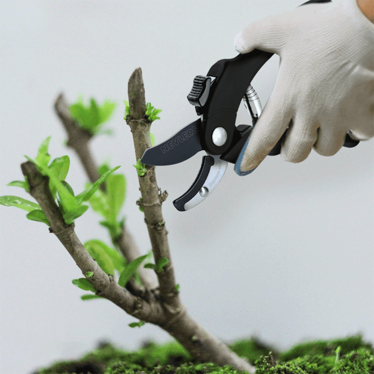 Garden Pruning Shears - Anvil