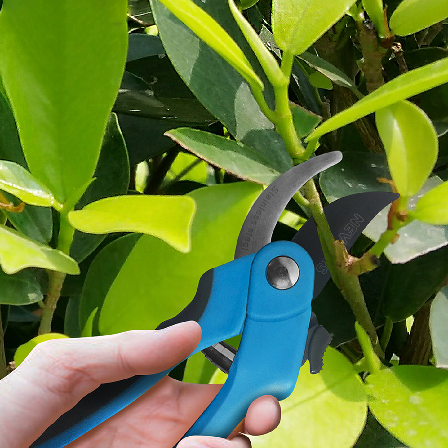 Garden Pruning Shears - Bypass