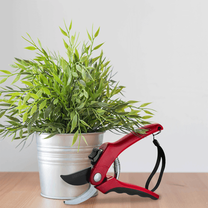Garden Pruning Shears - Bypass