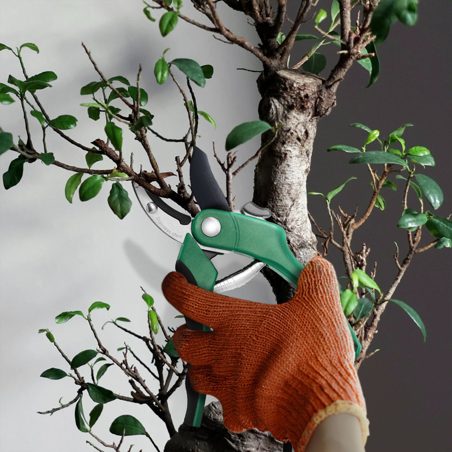 Garden Pruning Shears - Anvil