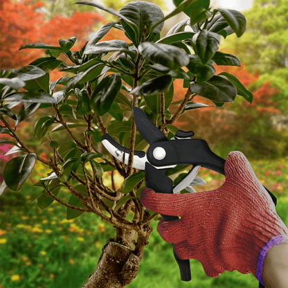 Garden Pruning Shears - Anvil