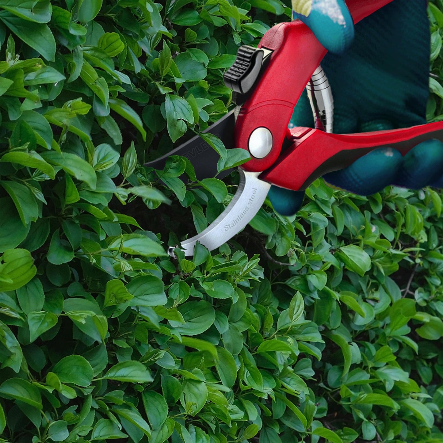 Garden Pruning Shears - Bypass