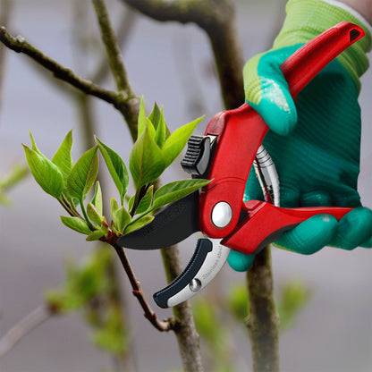 Garden Pruning Shears - Anvil