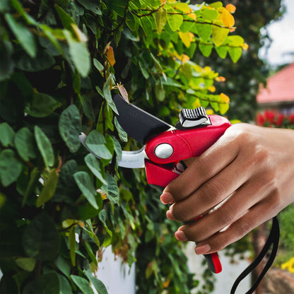 Garden Pruning Shears - Bypass