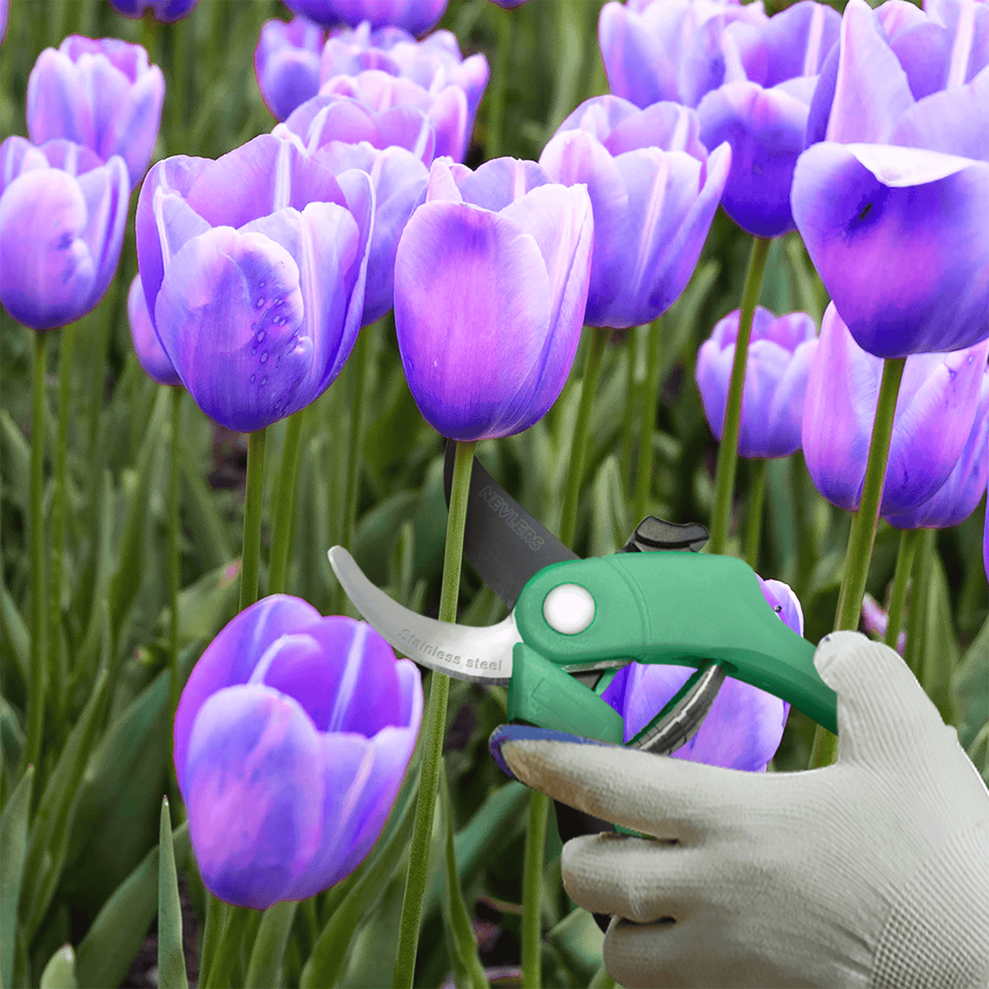 Garden Pruning Shears - Bypass