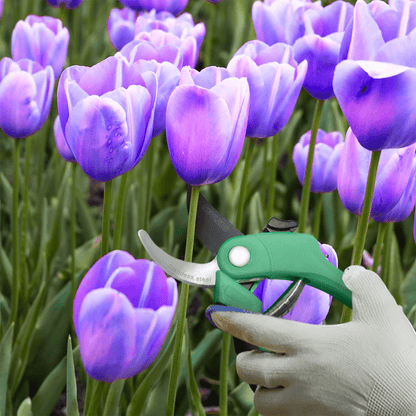 Garden Pruning Shears - Bypass