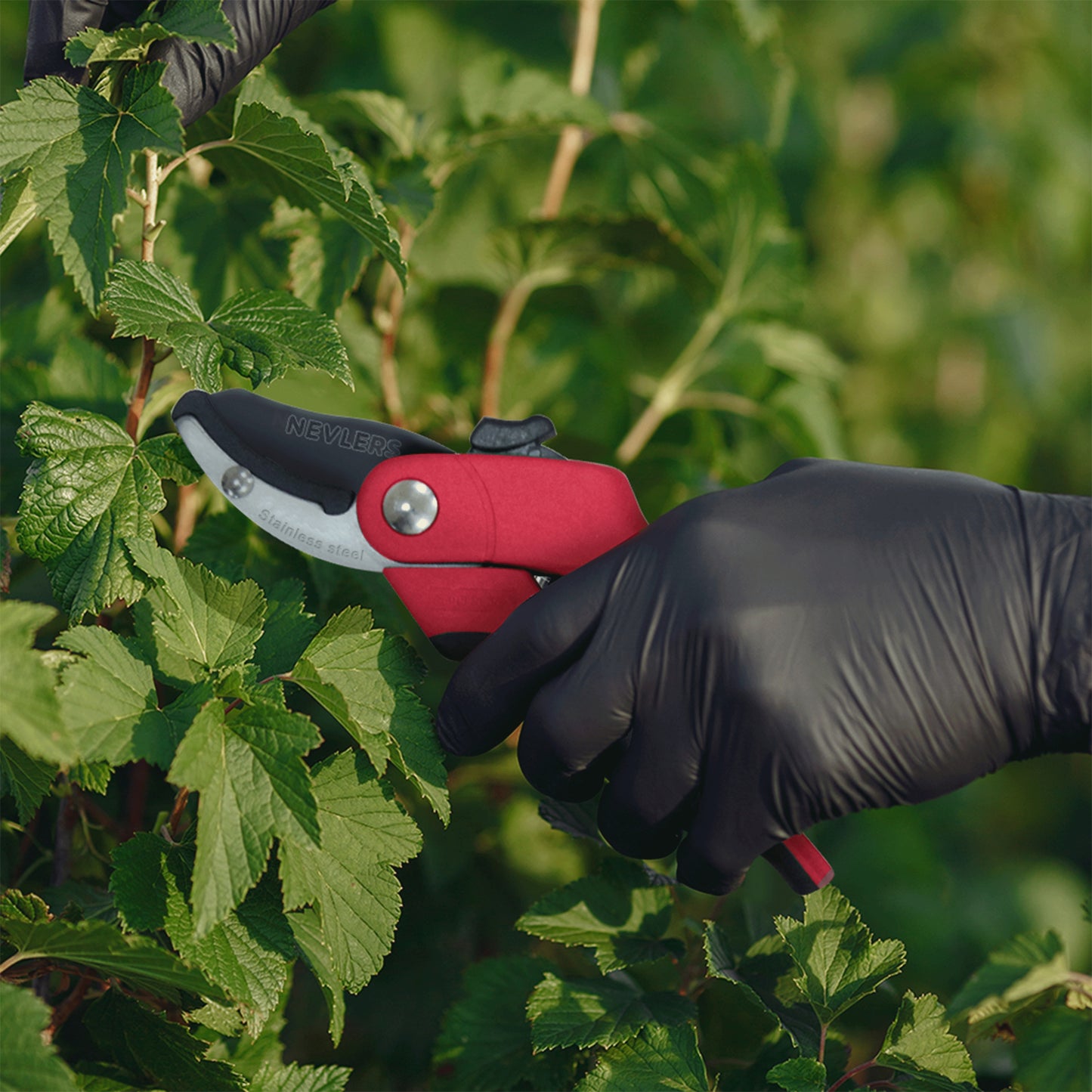 Garden Pruning Shears - Anvil