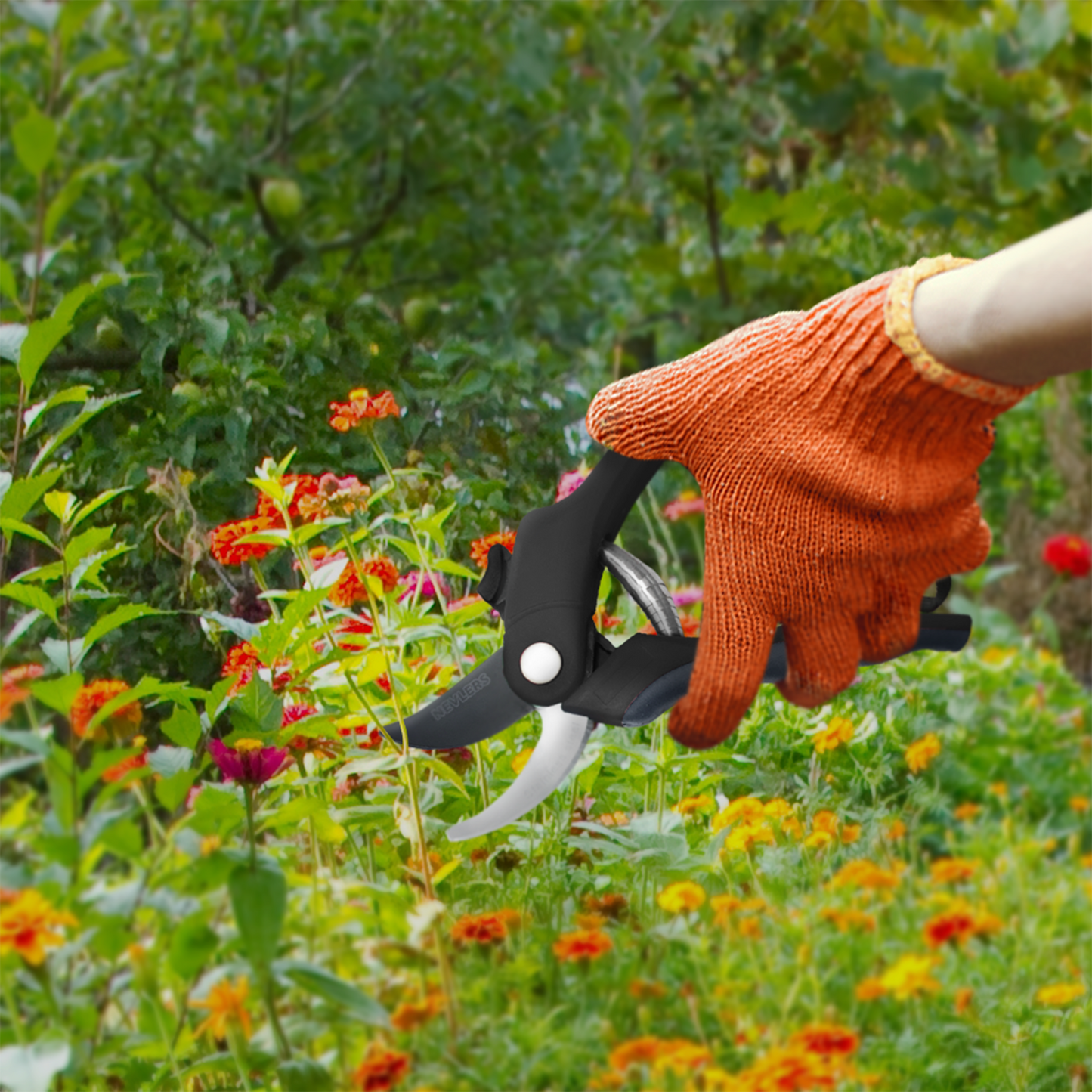 Garden Pruning Shears - Bypass